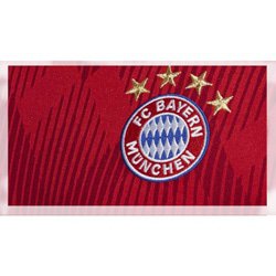 revue-du-football-club-de-bayern-munich